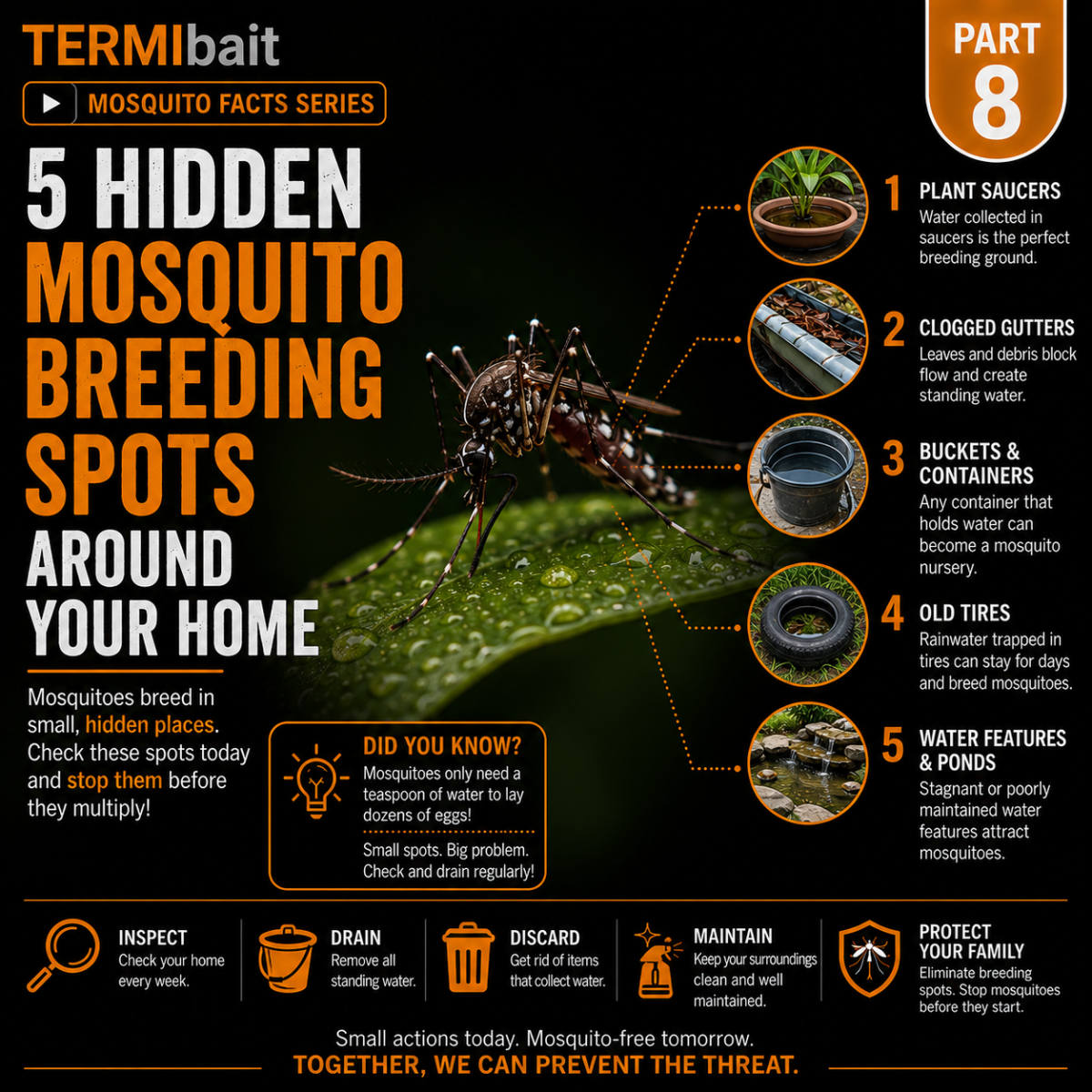 Part 8: 5 Hidden Mosquito Breeding Spots Around Your Home