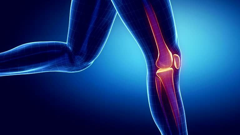 �˽�ϥ�ؽ��ʹ�����