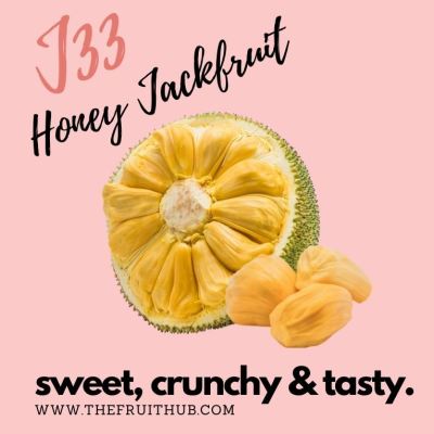 RECIPE: Jackfruit Boba Milk Shake