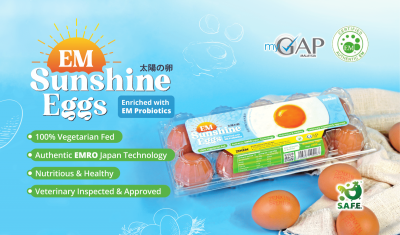EM Sunshine Eggs