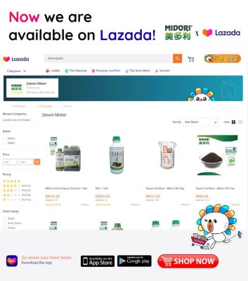 Now we are available on Lazada!