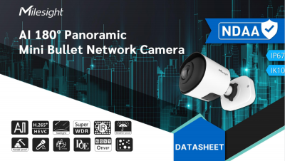 Milesight AI 180° Panoramic Mini Bullet Network Camera-NDAA