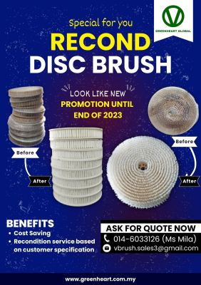 Promotion Recond Disc Brush