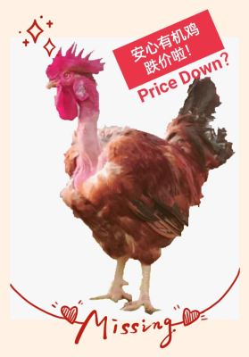 Anxin Orhanic Chicken -Price Down !