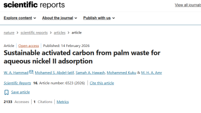 Sustainable activated carbon from palm waste for aqueous nickel II adsorption
