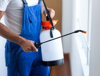 HOW TO REMOVE YOUR HOME PEST