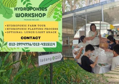 Hydroponics Workshop