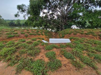 Supply & Lay Cow Grass Spot Turfing - JPG Kluang, Johor - 2,000 Sqm