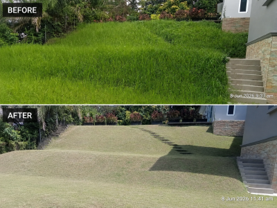Lawn Maintenance Service - East Ledang, Johor Bahru