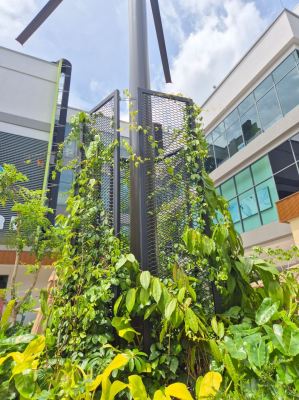Custom Steel Structure Fabrication for Climbing Plants - Tasek Mall, Johor Bahru - 12 Units