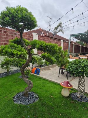 Supply of Plants & Cafe Landscape Decor - Johor Bahru - Full Shop