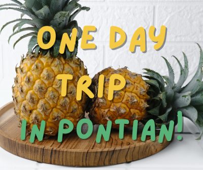  One Day in Pontian, Johor: Discover, Delight, and Dwell