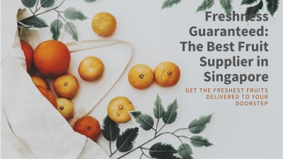 Freshness Guaranteed: One of the best Fruit Supplier in Singapore