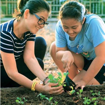 Green Living Tips