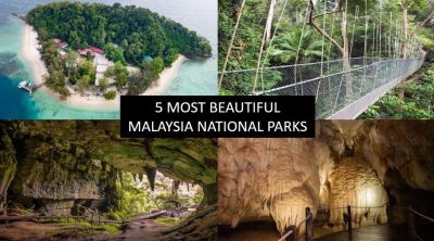 5 MALAYSIA NATIONAL PARKS