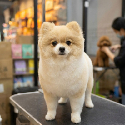 �����������ʭ���Σ�Ϊʲô����һ�굽ͷ�Ĺ���