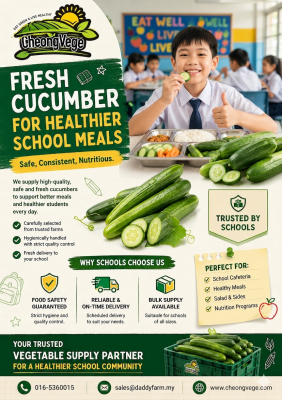 Fresh Cucumber For Healthier School Meals   Safe, Consistent & Nutritious Supply For Schools In Malaysia