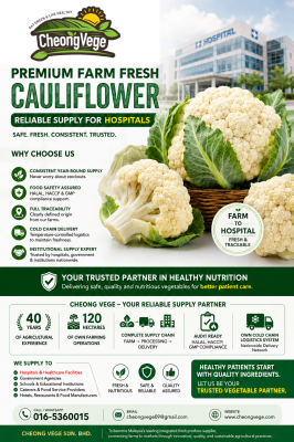 Premium Fresh Cauliflower Supplier for Hospitals in Malaysia | Reliable Hospital Vegetable Supply by Cheong Vege
