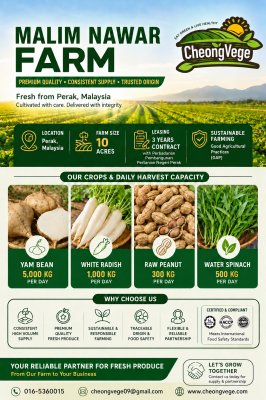Malim Nawar Farm | Premium Fresh Vegetable Supplier & Exporter Malaysia | Cheong Vege