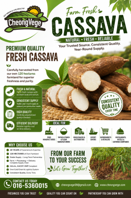 Fresh Cassava Malaysia | Supplier for Food Manufacturers, Tapioca Processors & Export Buyers | Cheong Vege