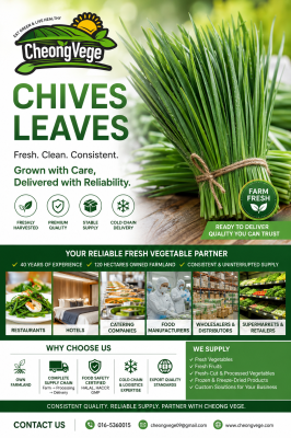 Fresh Chives Leaves Supplier Malaysia | Restaurants, Wholesalers & International Buyers | Cheong Vege