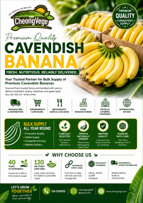 Cavendish Banana Malaysia | Fresh Banana Wholesale & Export Supplier | Cheong Vege