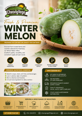 Winter Melon Malaysia | Fresh Wax Gourd Wholesale & Export Supplier | Cheong Vege
