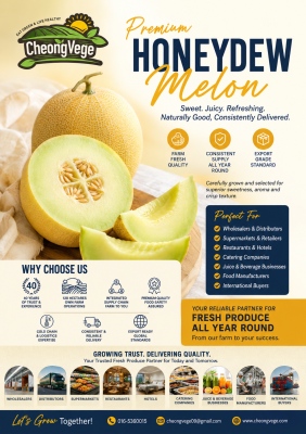 Honeydew Melon Malaysia | Premium Fresh Melon Wholesale & Export Supplier | Cheong Vege