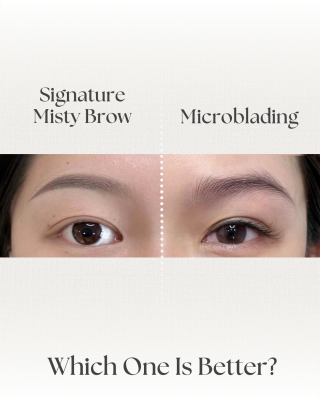 Misty Brow vs Microblading����ü vs Ұ��ü����ʲô����2026 ������ָ��