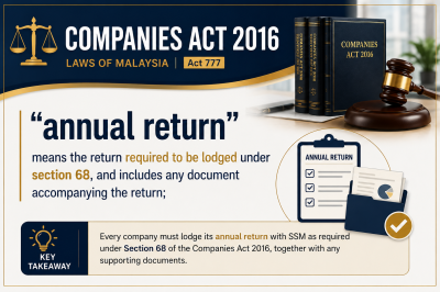 Annual Return ����걨��