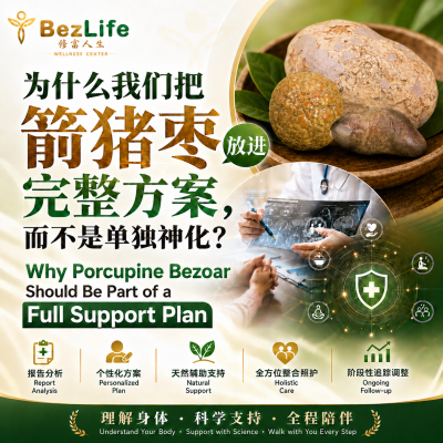 Why Porcupine Bezoar Should Be Part of a Full Support Plan
