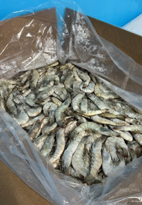 IQF White Shrimp �� The Best Choice for Steamboat Restaurants