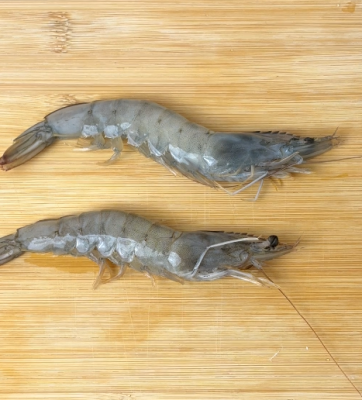 IQF Whole White Shrimp �� Frozen Fresh from the Catch