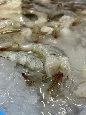 Fresh Shrimp Meat �� Peeled, Deveined & No Additives