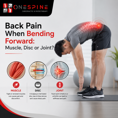 Back Pain When Bending Forward: Muscle, Disc or Joint Problem?