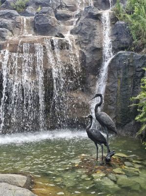 Panduan Percutian Keluarga ke Singapura 2026: Cadangan G K Travel untuk Laluan 3 Hari Meliputi Mandai Rainforest, Sentosa dan Marina Bay