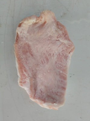 �����⹩Ӧ�̣�Cheras��  �ҼҰ� JJI Porkery