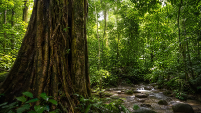 ESG Consultant Malaysia: Navigating 2026 Regulations and Unlocking Sustainable Growth