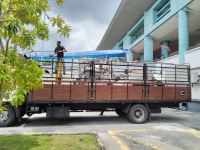 Hyundai Diesel Forklift Rental at Hospital Sungai Buloh @ Selangor, Malaysia (C344)