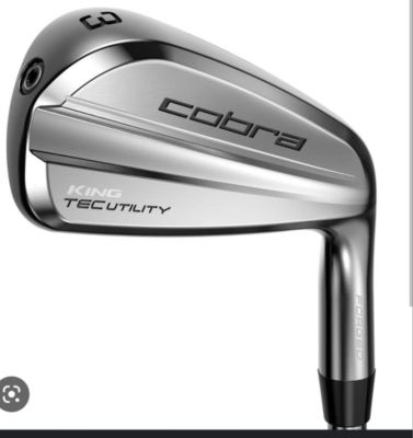 1 Day (19th March 2023) Super Deal on Cobra Utility Iron 