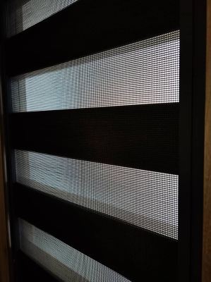 Fixed Security Stainless Steel Mosquito Wire Mesh 