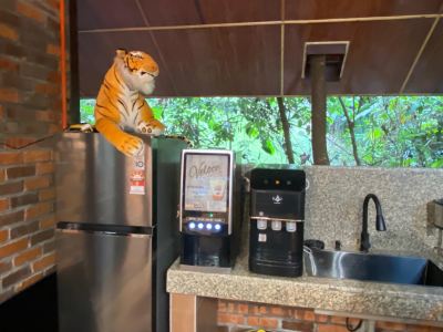 Coffee Machine Rental - Outdoor Park Installation 