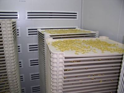 Drying Room, 15% RH & 24 C for cod liver capsules