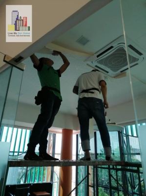 Supply & Install Ceiling Wallpaper