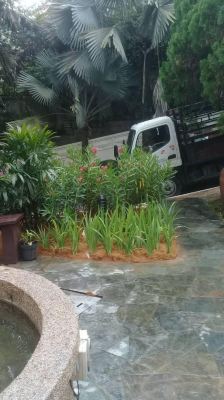 Gardening Works @Shah Alam