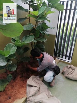 Gardening Works @Cyberjaya