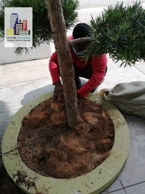 Gardening Works @Cyberjaya