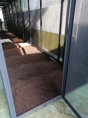 Gardening Works @Tan Sri' House Cyberjaya