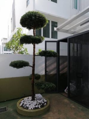 Gardening Works @Tan Sri' House Cyberjaya