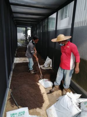 Gardening Works @Tan Sri' House Cyberjaya